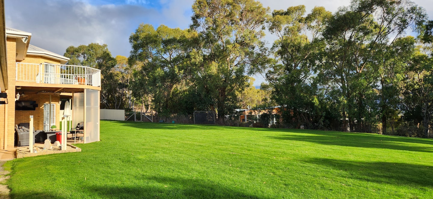 Green lawn beside the house and native trees